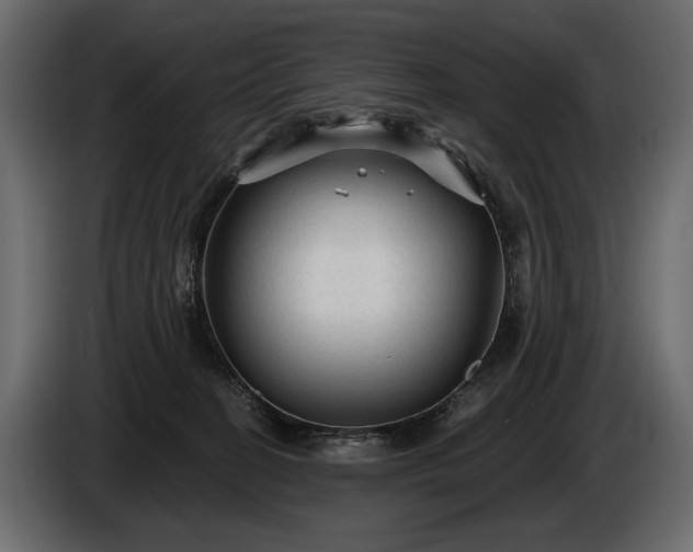 X0000085820274200703231404