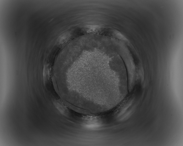 X0000085820276200703231404