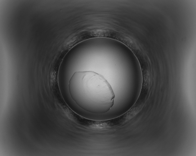 X0000085820278200703231404