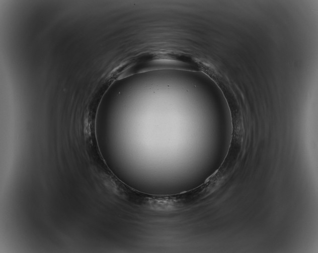 X0000085820282200703231404