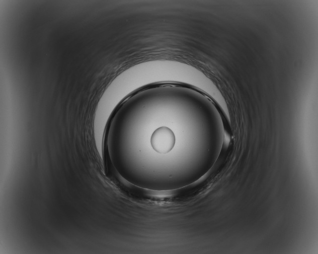 X0000085820284200703231404