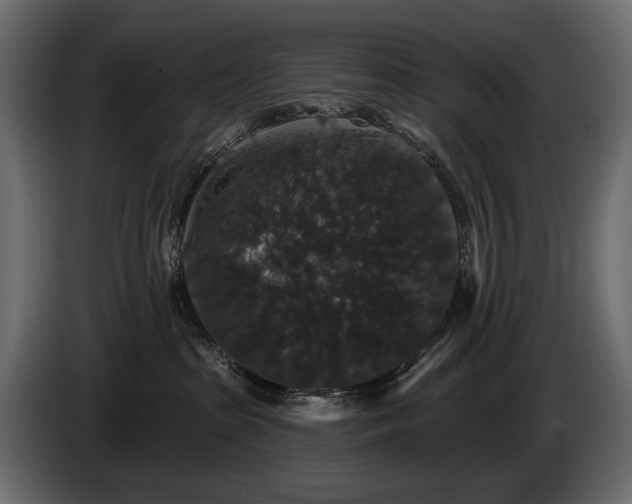 X0000085820285200703231404