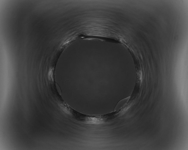 X0000085820286200703231404
