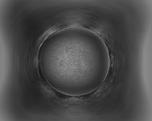 X0000085820290200703231404