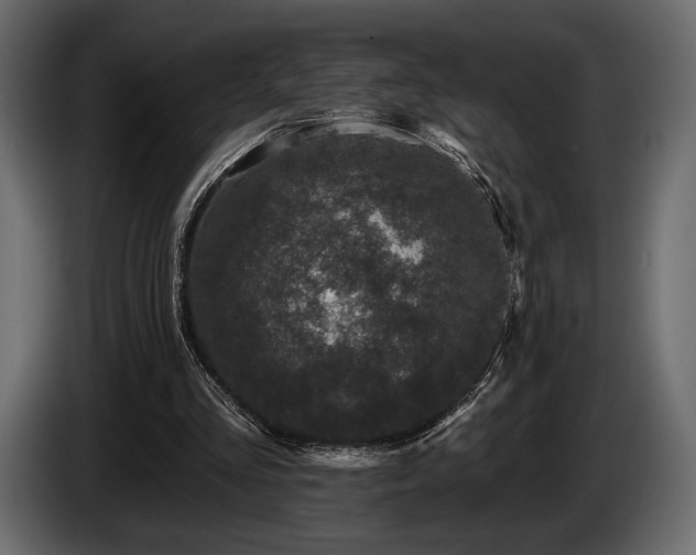 X0000085820293200703231404