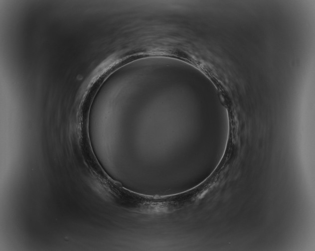 X0000085820295200703231404