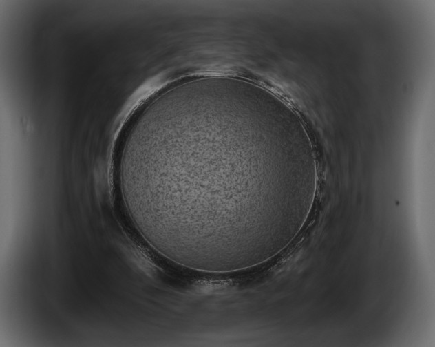 X0000085820296200703231404