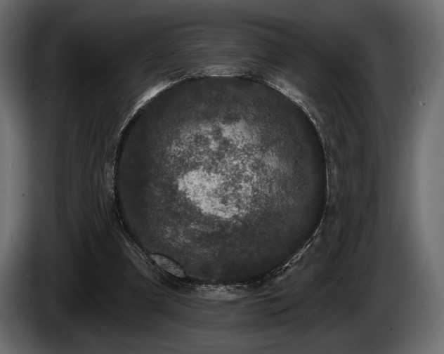 X0000085820297200703231404