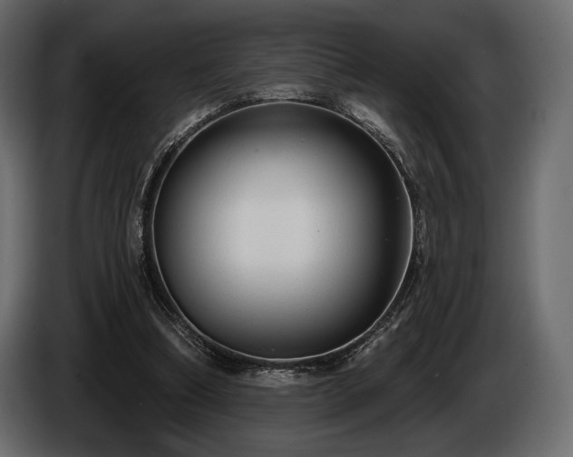 X0000085820298200703231404