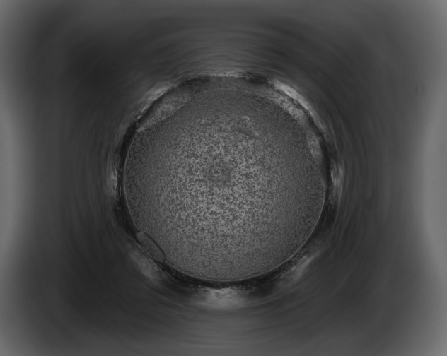 X0000085820309200703231403