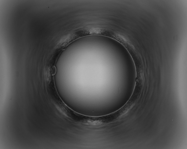 X0000085820311200703231403