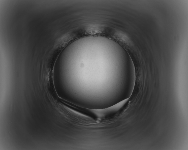 X0000085820315200703231403