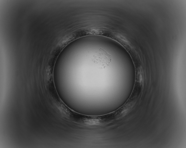 X0000085820318200703231403