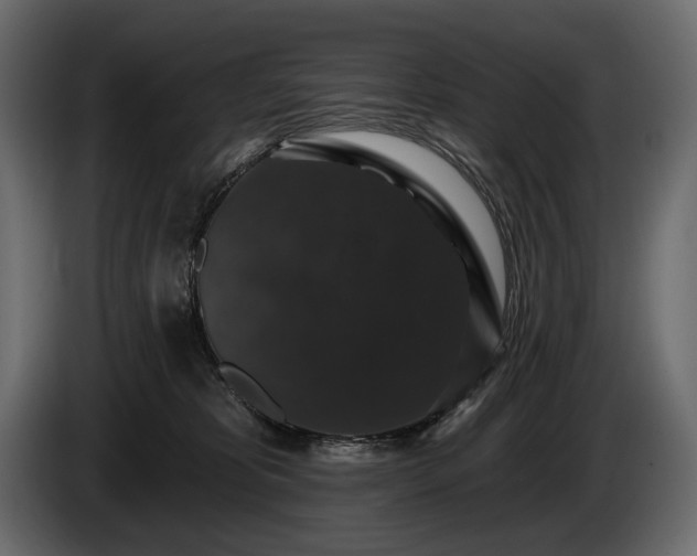 X0000085820325200703231403