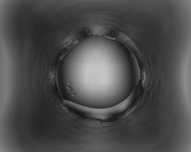 X0000085820329200703231403