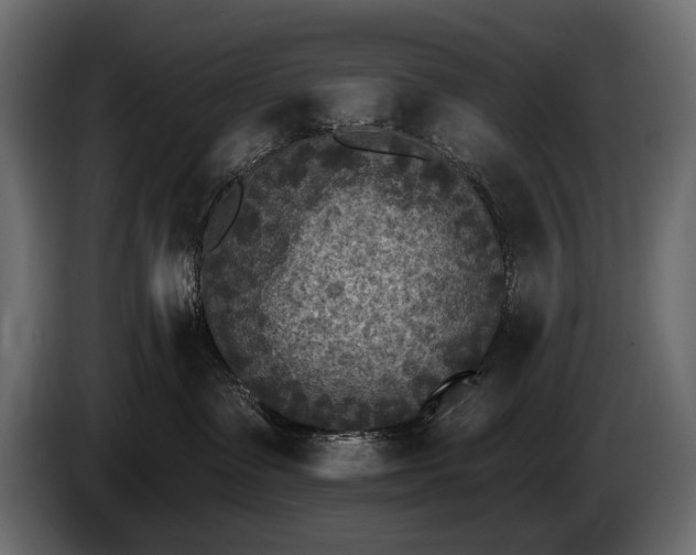 X0000085820335200703231403