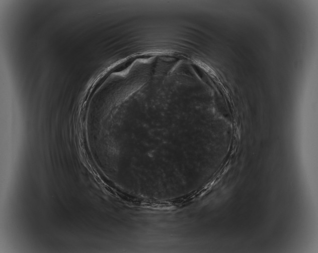 X0000085820337200703231402