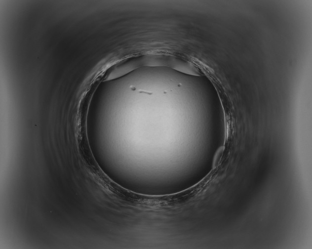X0000085820339200703231402