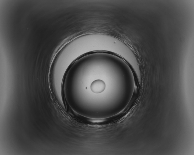 X0000085820340200703231402