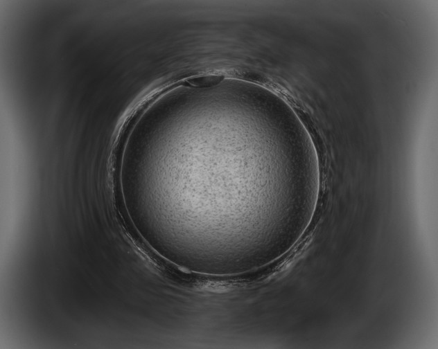 X0000085820341200703231402