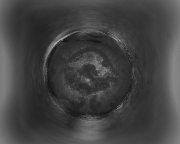 X0000085820343200703231402