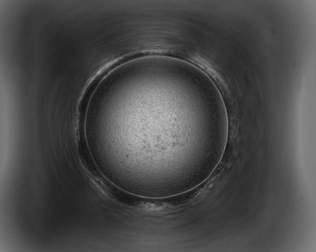 X0000085820346200703231402