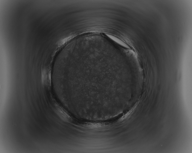 X0000085820349200703231402