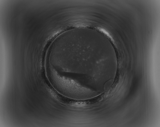X0000085820353200703231402