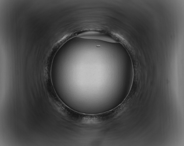 X0000085820354200703231402