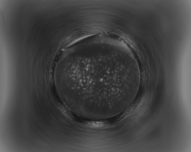 X0000085820361200703231402