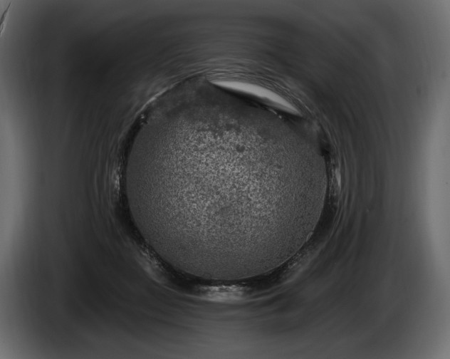 X0000085820363200703231402