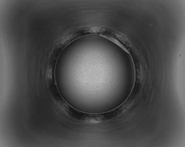 X0000085820368200703231403
