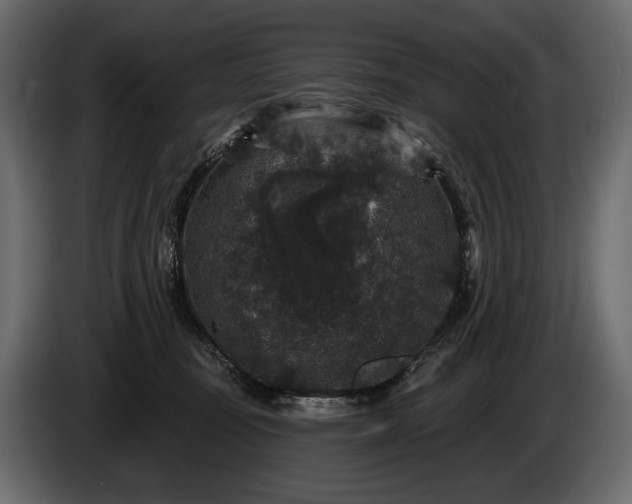X0000085820371200703231403