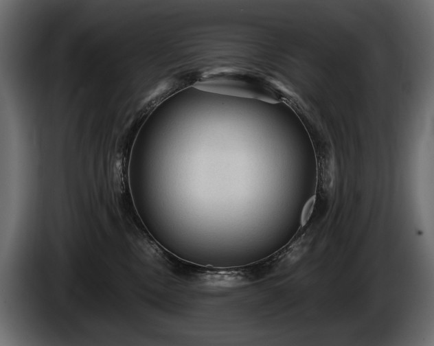 X0000085820378200703231403