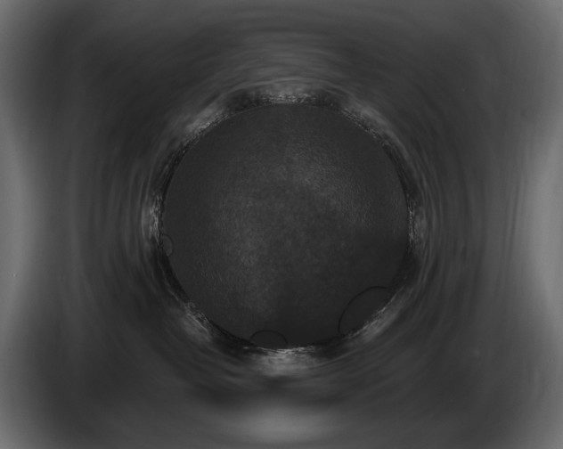 X0000085820382200703231403