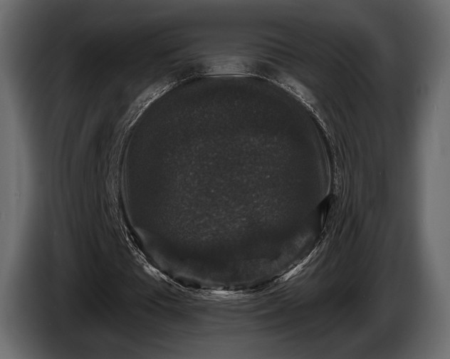 X0000085820385200703231402