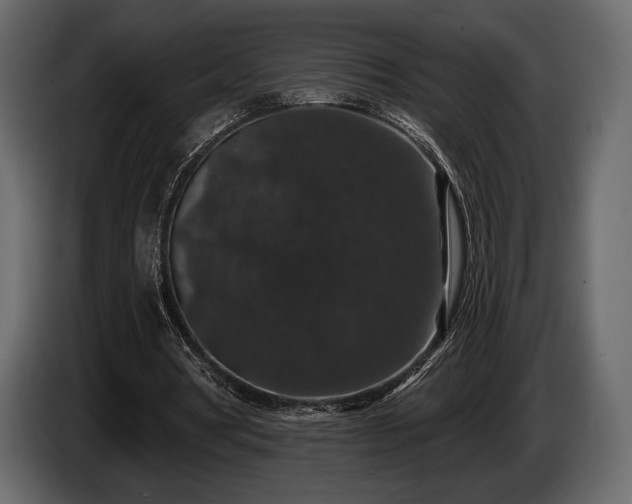 X0000085820386200703231402