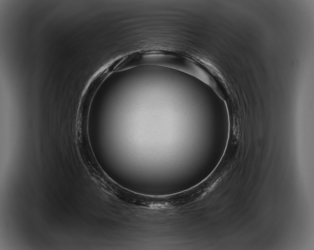 X0000085820388200703231402