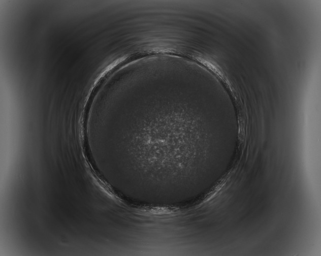 X0000085820390200703231402