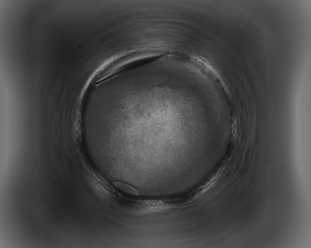 X0000085820392200703231402