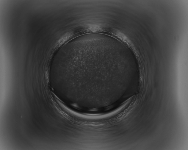 X0000085820393200703231402