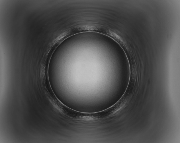 X0000085820394200703231402