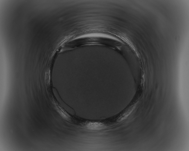 X0000085820397200703231402