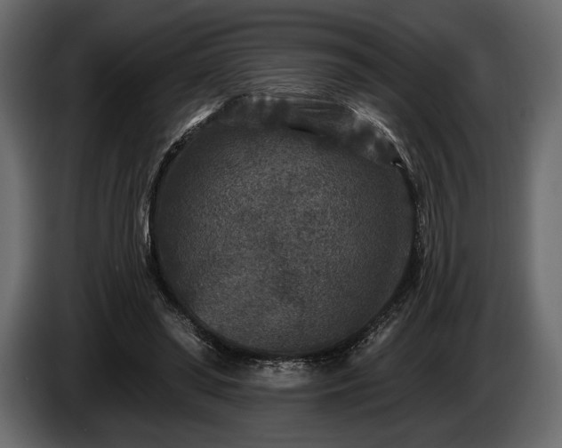 X0000085820398200703231402