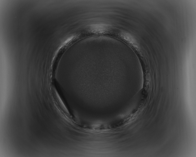 X0000085820399200703231402