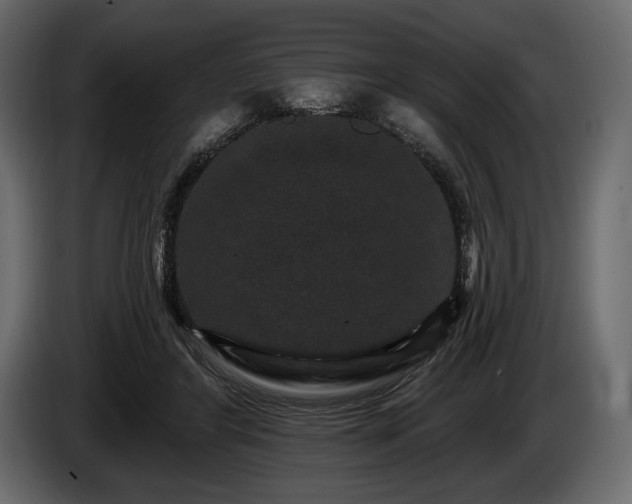 X0000085820404200703231402