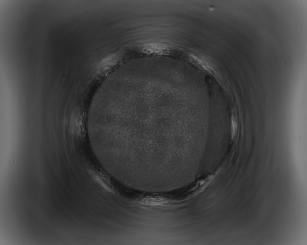 X0000085820408200703231402