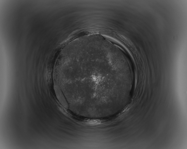 X0000085820409200703231402