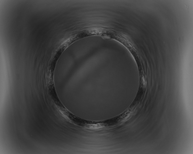 X0000085820411200703231402