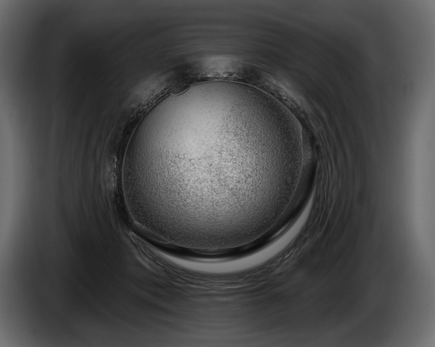 X0000085820413200703231402